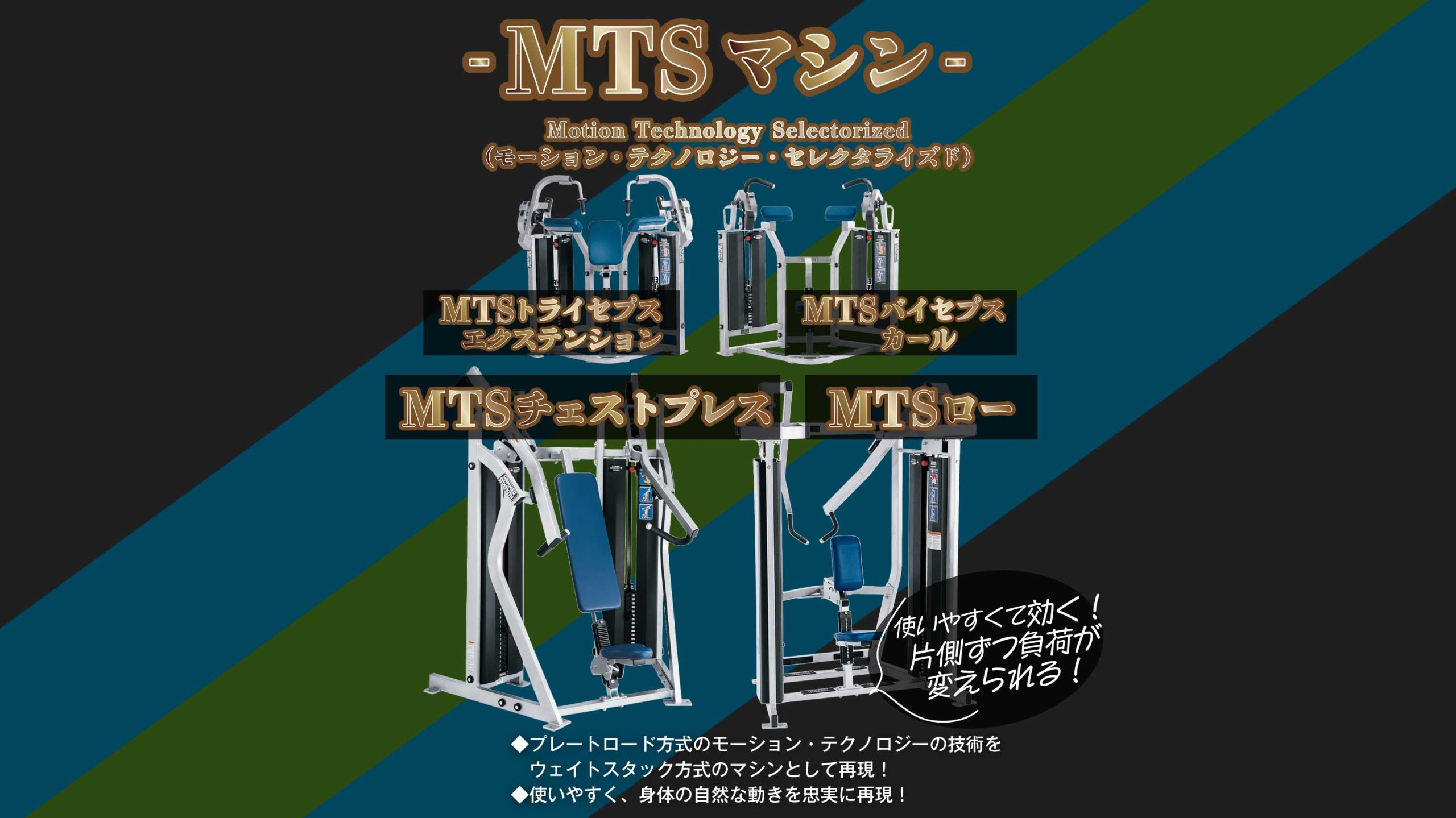 エニタイムフィットネス 光が丘店