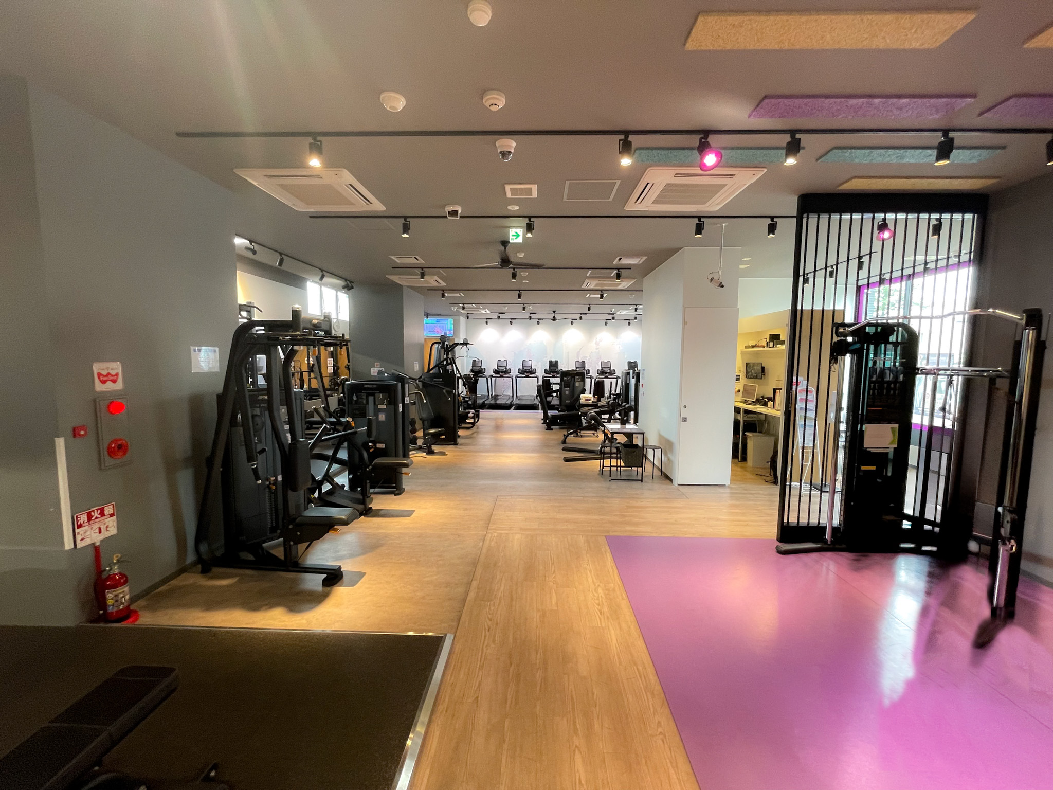 エニタイムフィットネス 南与野店