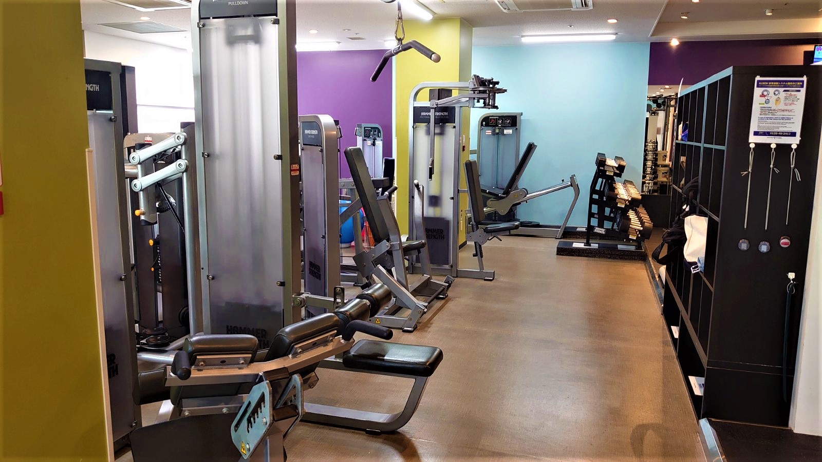 エニタイムフィットネス 成増店