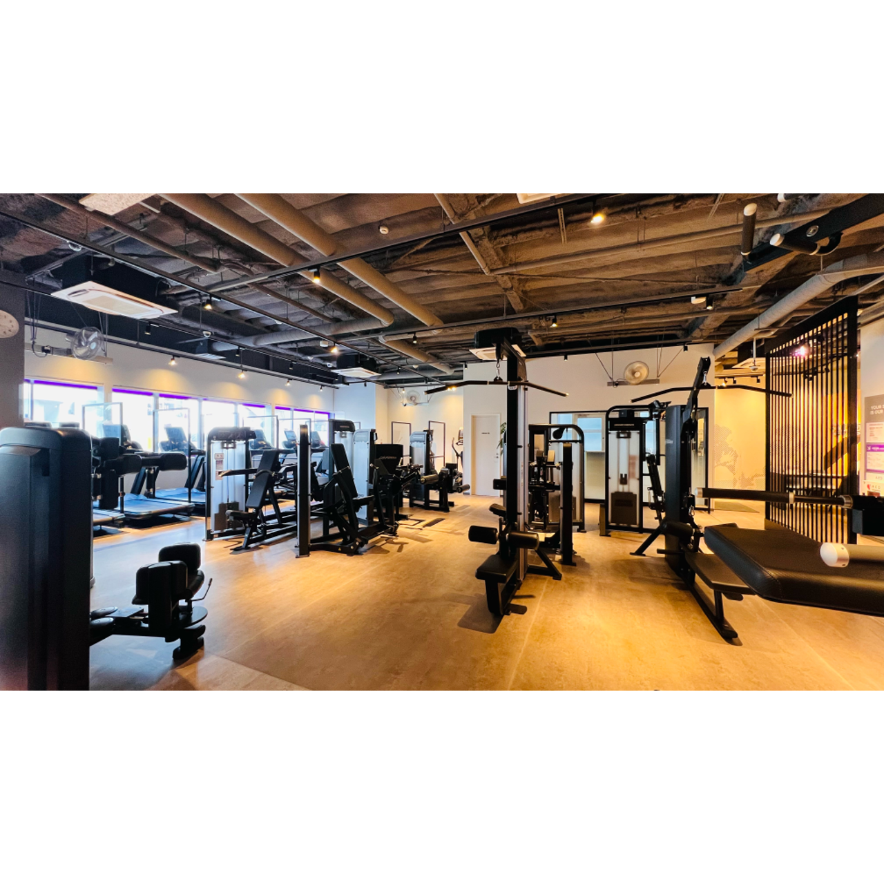 エニタイムフィットネス 下赤塚店