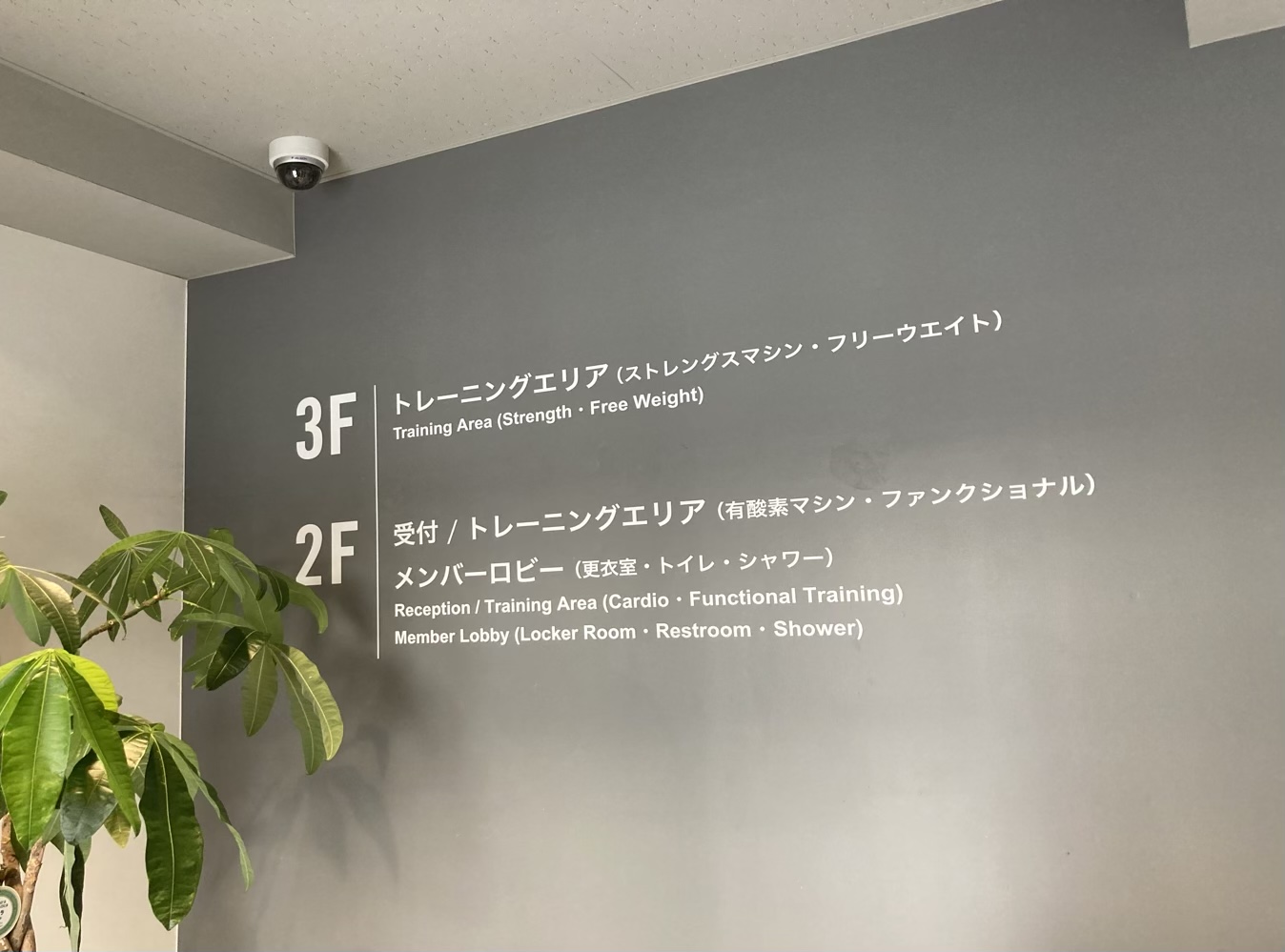 エニタイムフィットネス 田無店