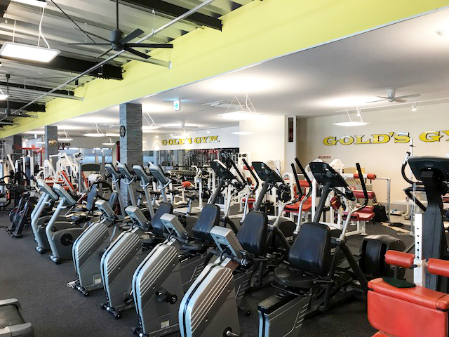 ゴールドジム 柏千葉 （豊四季）