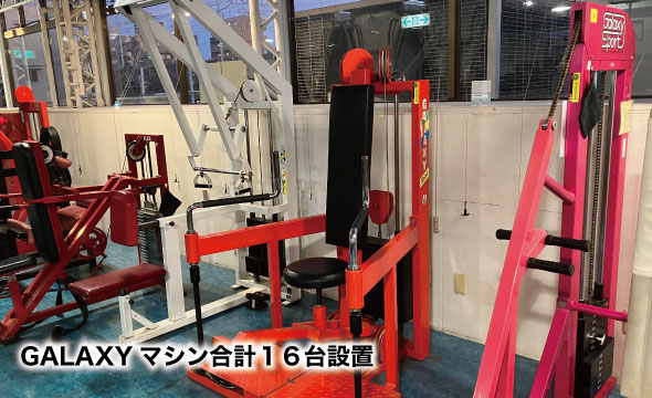 ゴールドジム 行徳千葉アスレチックセンター