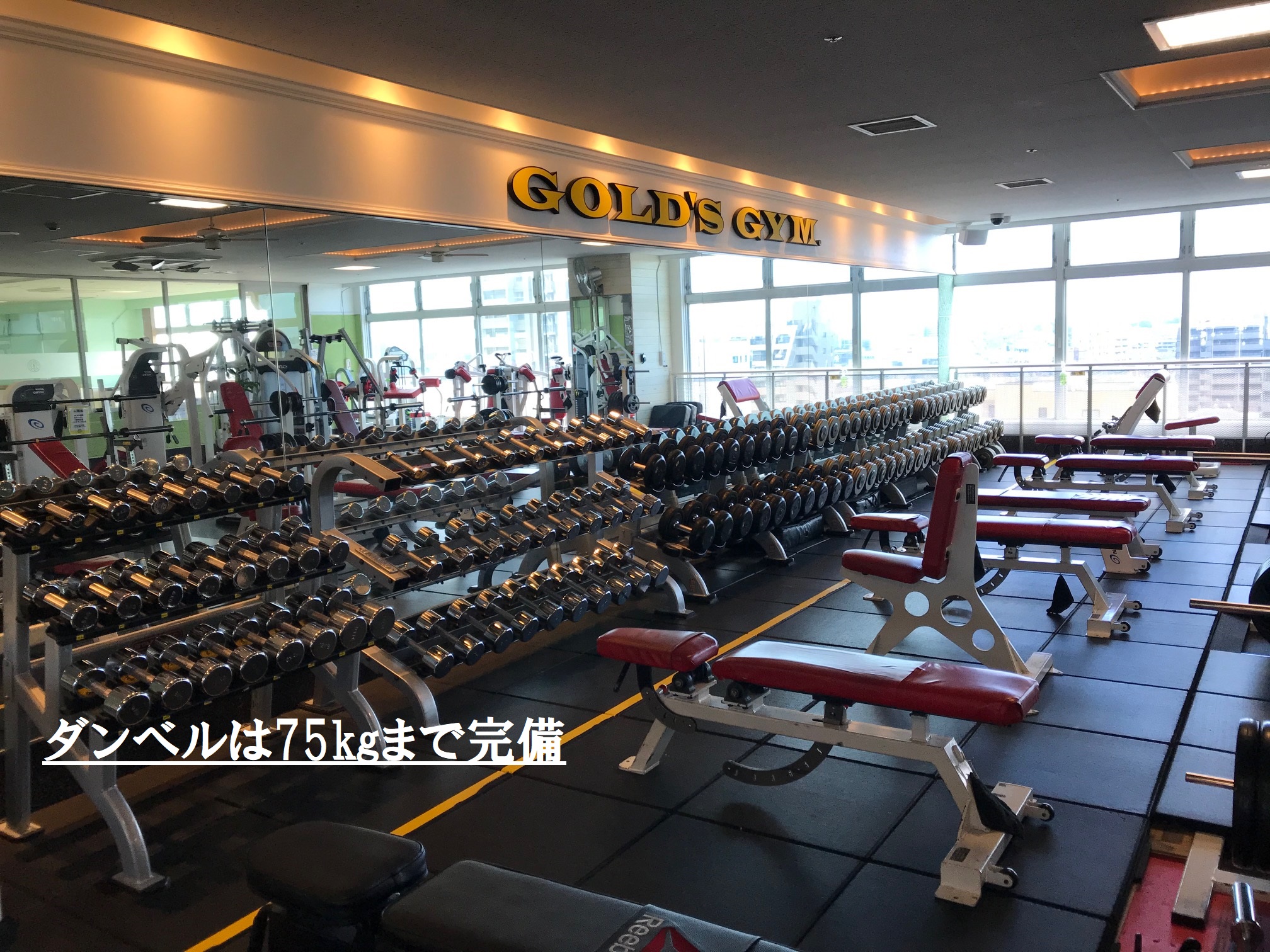 ゴールドジム 本八幡千葉