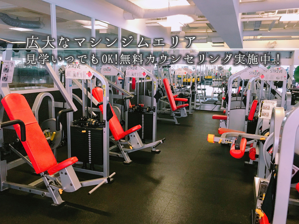 ゴールドジム 表参道東京