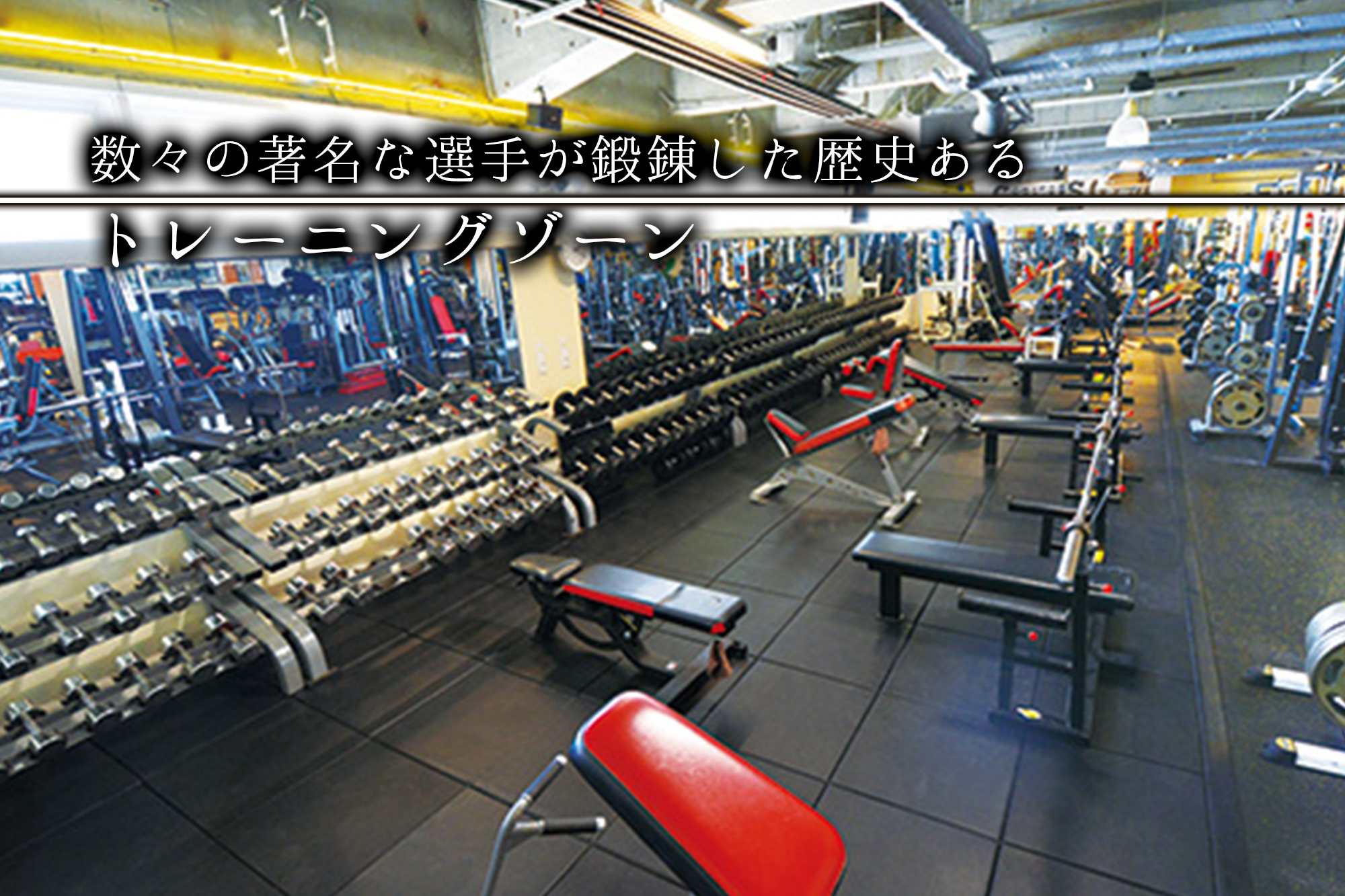 ゴールドジム サウス東京 (OPEN 24 HOURS)