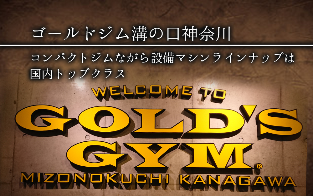 ゴールドジム 溝の口神奈川