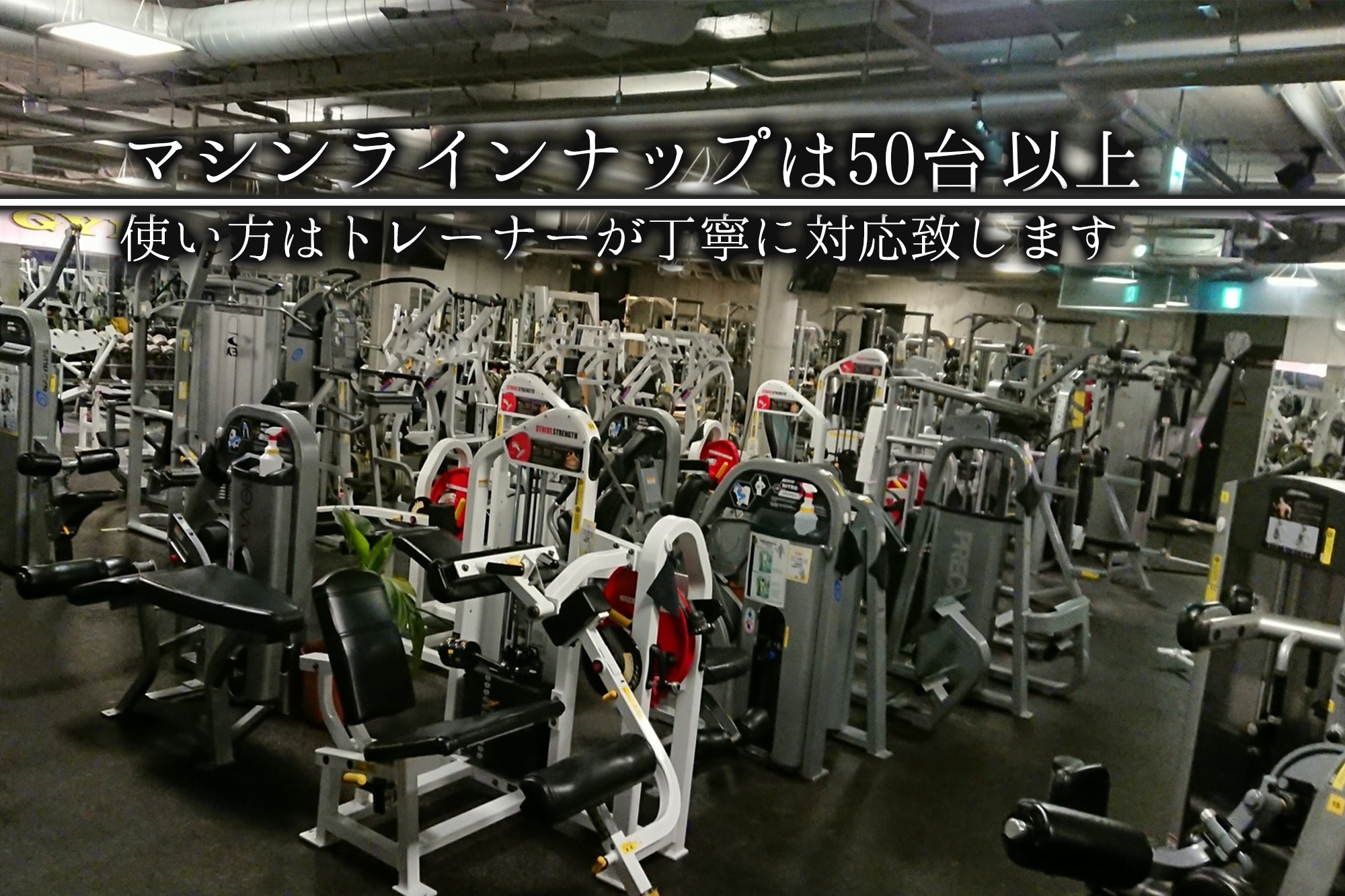 ゴールドジム 溝の口神奈川