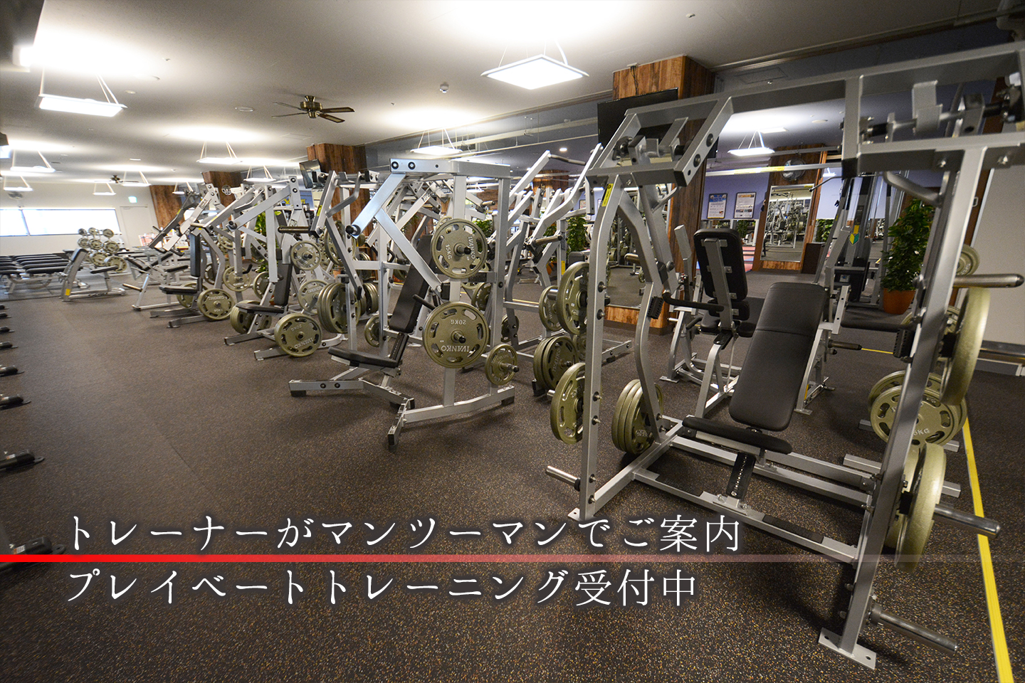 ゴールドジム 千葉ニュータウン