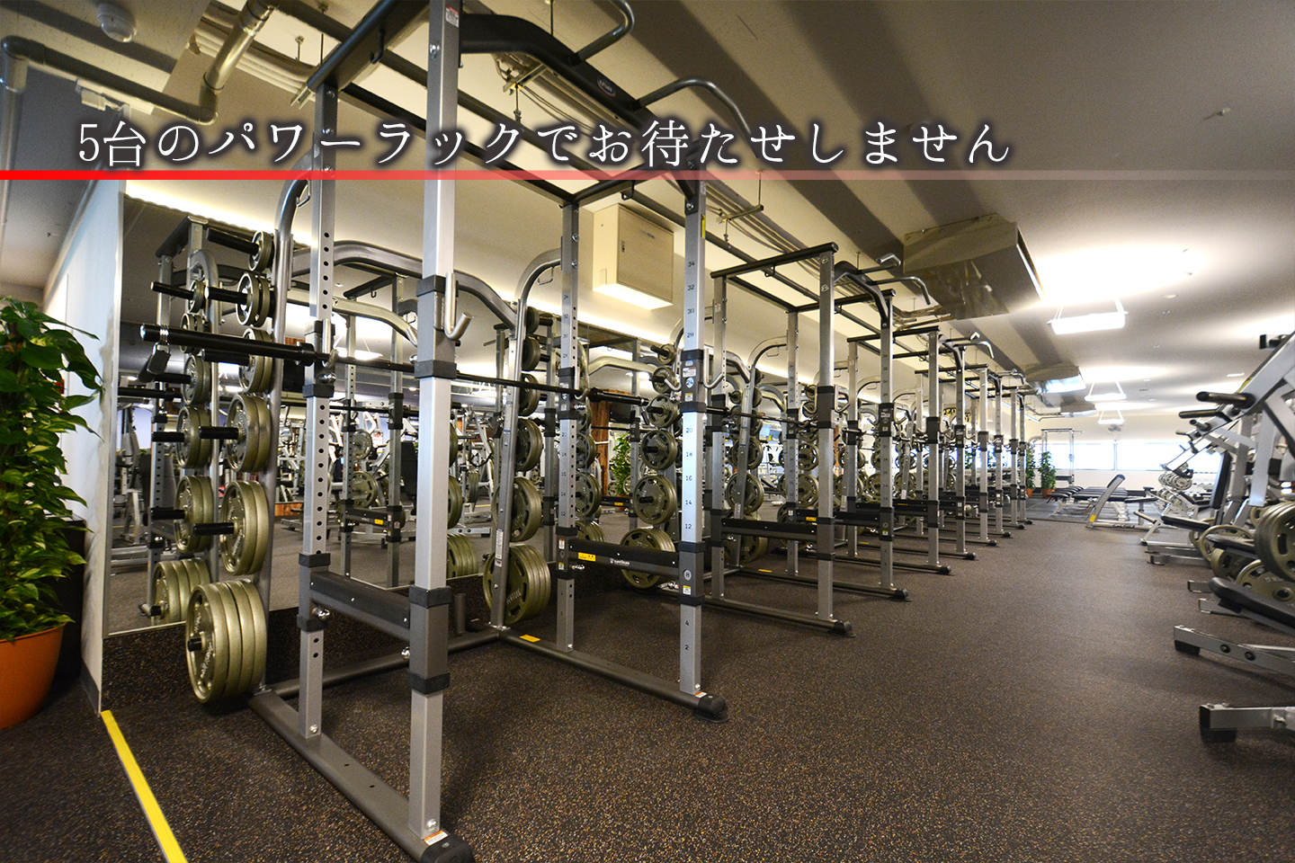 ゴールドジム 千葉ニュータウン