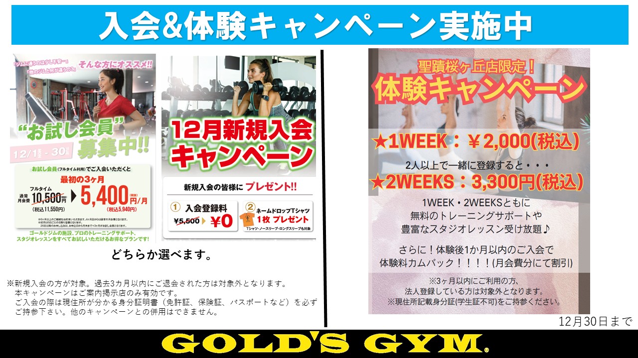 ゴールドジム 聖蹟桜ヶ丘東京
