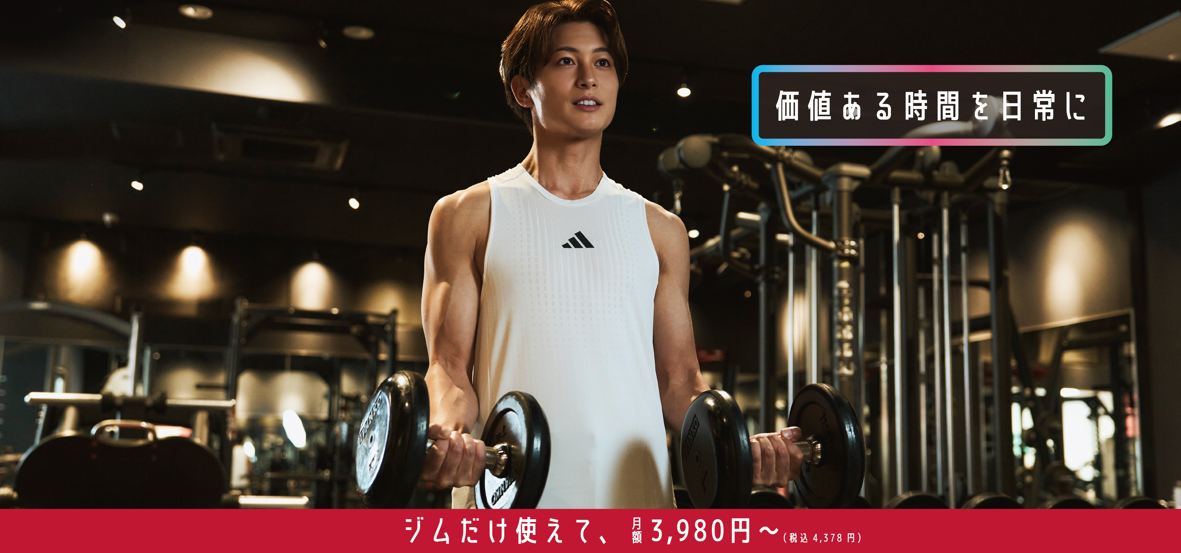 JOYFIT24 ジムLITE 上馬